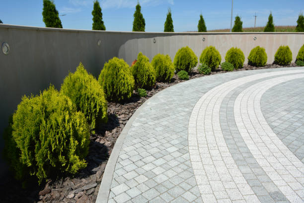 Best Professional Driveway Pavers  in Hackleburg, AL